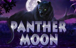 Игровой автомат Panther Moon бесплатно